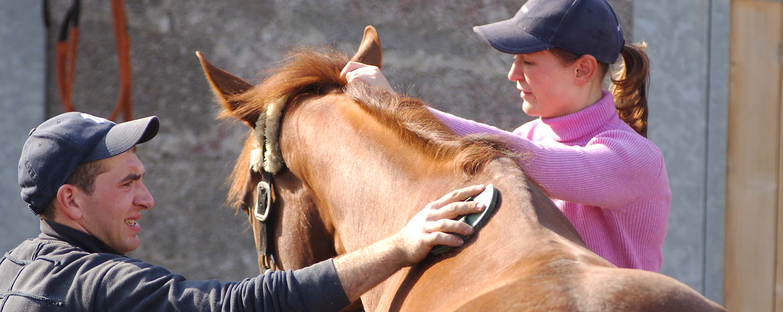 Roscomon 1-10-07.   Sable Staff getting a horse ready to run in the stable yard before racing.
Photo HEALY RACING.