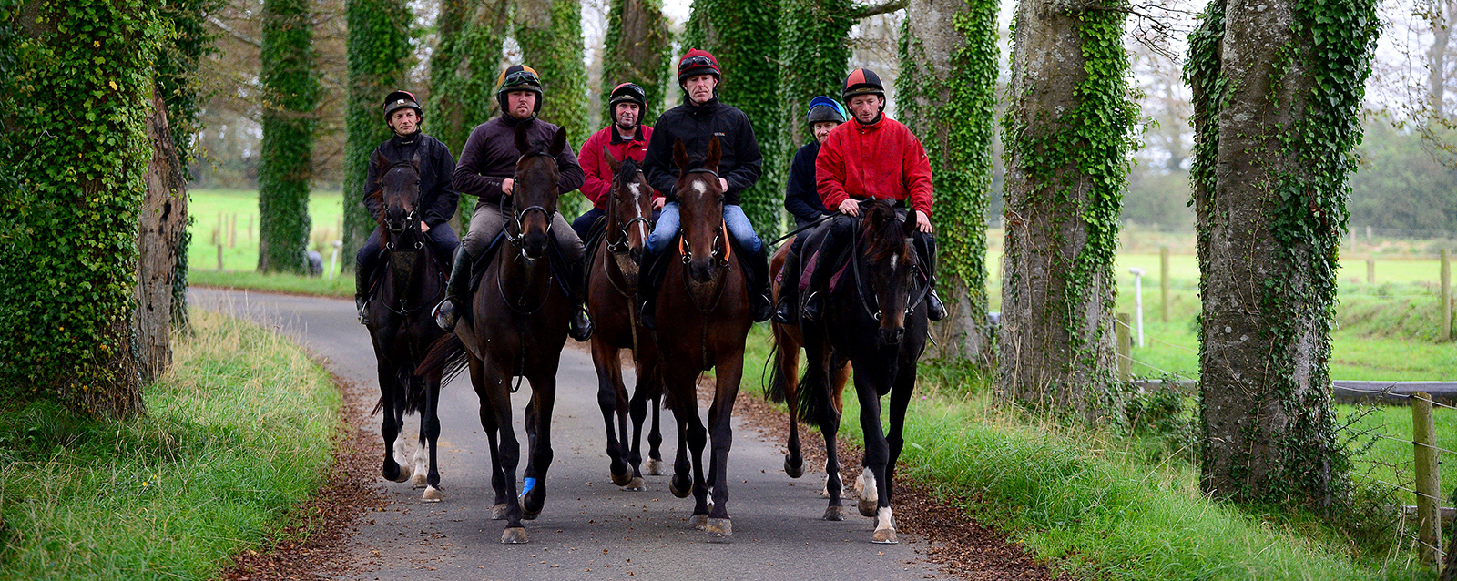 ERIC McNAMARA Stables, Rathkeale, Co.Limerick 30-9-19.
Ahead of The JT McNamara Ladbrokes Munster National at Limerick Racecourse on October 13th trainer Eric McNamara showed Limerick Racecourse Manager Pat O'Callaghan his 3 runners for the race (L-R) Black Scorpion (Darren Hogan), Gwencily Berbas (Ray Hogan) and Internal Tranfer (Brian Byrnes) pictured heading to the gallops.
Photo Healy Racing.