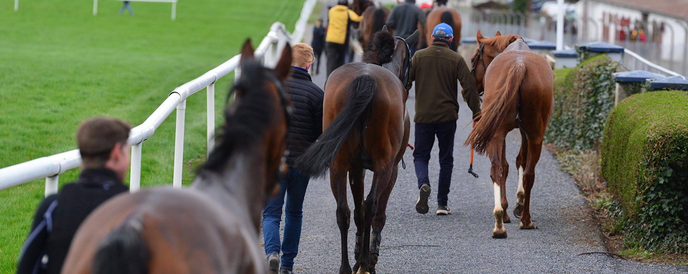 CLONMEL 23-March-2021.
Horse and grooms return to the stables after The Boylesports Maiden Hurdle.
Healy Racing.